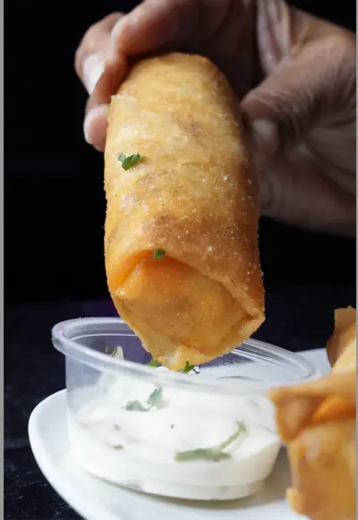 Buffalo Chicken Eggrolls and Fries