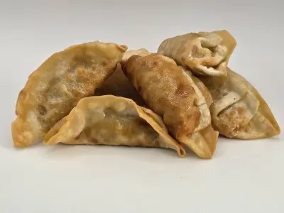 Fried Dumplings